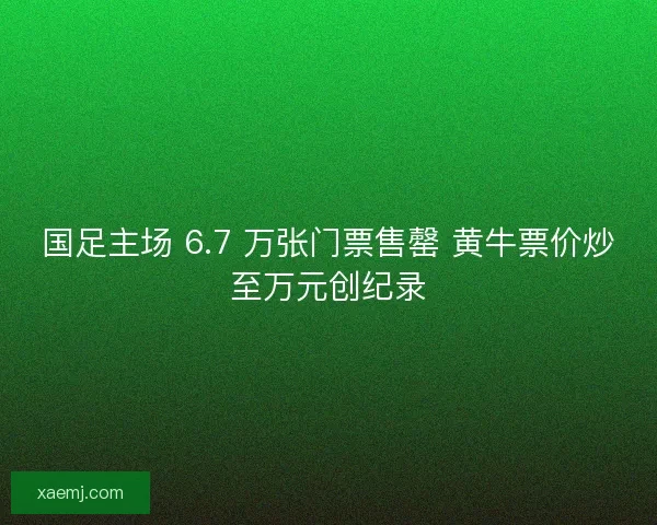 国足主场 6.7 万张门票售罄 黄牛票价炒至万元创纪录