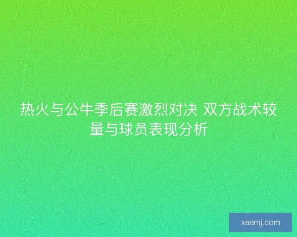 热火与公牛季后赛激烈对决 双方战术较量与球员表现分析